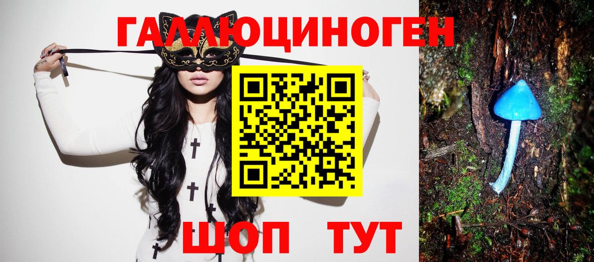 Ростов Великий  Псилоцибиновые грибы MAGIC MUSHROOMS  где продают   Вход с VPN 