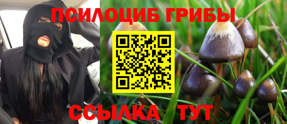 Псилоцибиновые грибы прущие грибы Ростов Великий